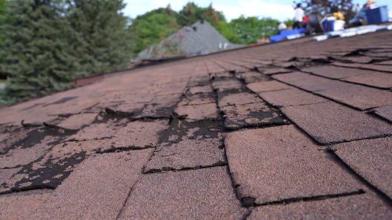 Best Green or Eco-Friendly Roofing Solutions  in Ruckersville, VA