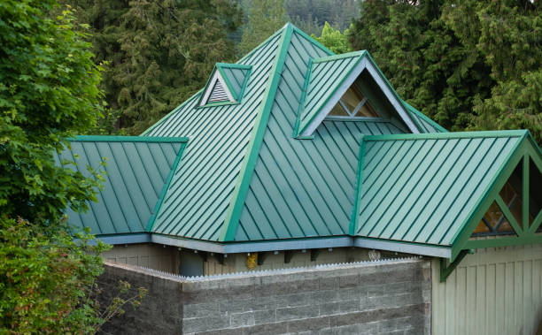 Best Gutter Installation and Repair  in Ruckersville, VA