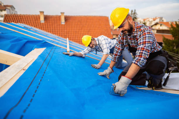 Best Roof Ventilation Installation  in Ruckersville, VA