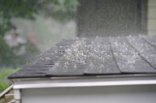 Best Roof Insulation Installation  in Ruckersville, VA