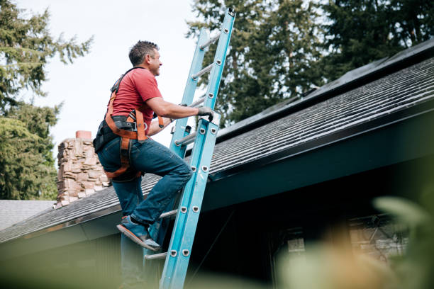 Best Roof Maintenance and Cleaning  in Ruckersville, VA
