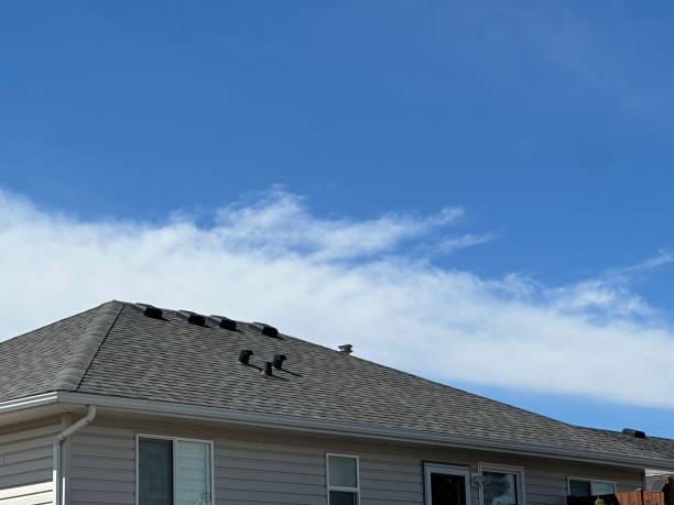 Best Sheet Metal Roofing  in Ruckersville, VA